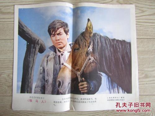 阿纳姆大学和奈梅亨大学会计文凭证书